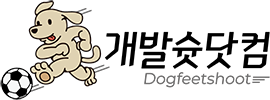 개발슛닷컴